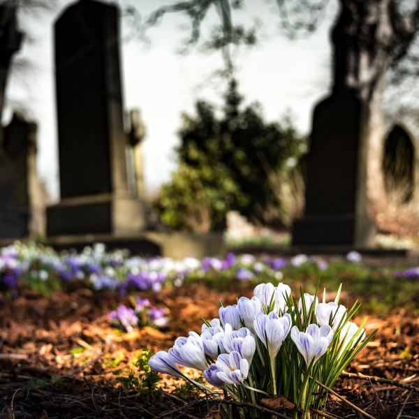 Illustration représentant un cimetière, avec en premier plan un bouquet de fleur